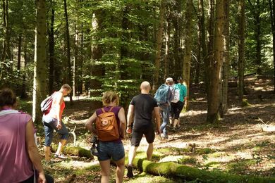 Wir erleben beim Naturretreat gemeinsam als Gruppe in Baden-Würrtemberg viel Spaß.