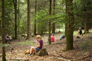 Naturmeditation - Waldbaden Kurs Tübingen Baden-Württemberg Süddeutschland