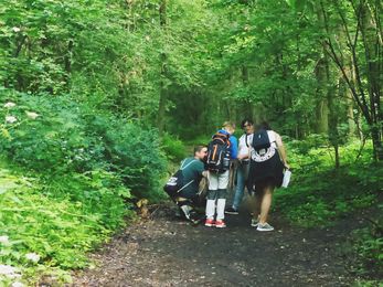 Klassenfahrt in der Natur - Abenteuer am Wegesrand