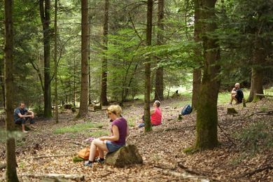 Beim Natur-Retreat, einem Kurzurlaub oder Get Away Weekend In der Natur, kannst du herrlich Entspannen, Stress abbauen, dir eine Auszeit nehmen und zur Ruhe kommen.