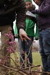 Frühling erleben in der Natur - Outdoor-Hüttenwochenende