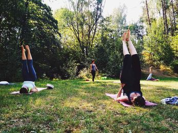 Yoga Retreat in der Natur: Yoga für Anfänger und Fortgeschrittene
