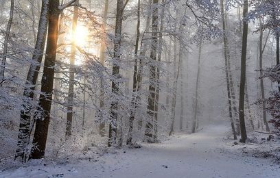 Winter-Retreat - Natur genießen